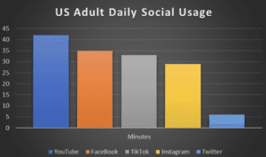 Adult daily social media usage